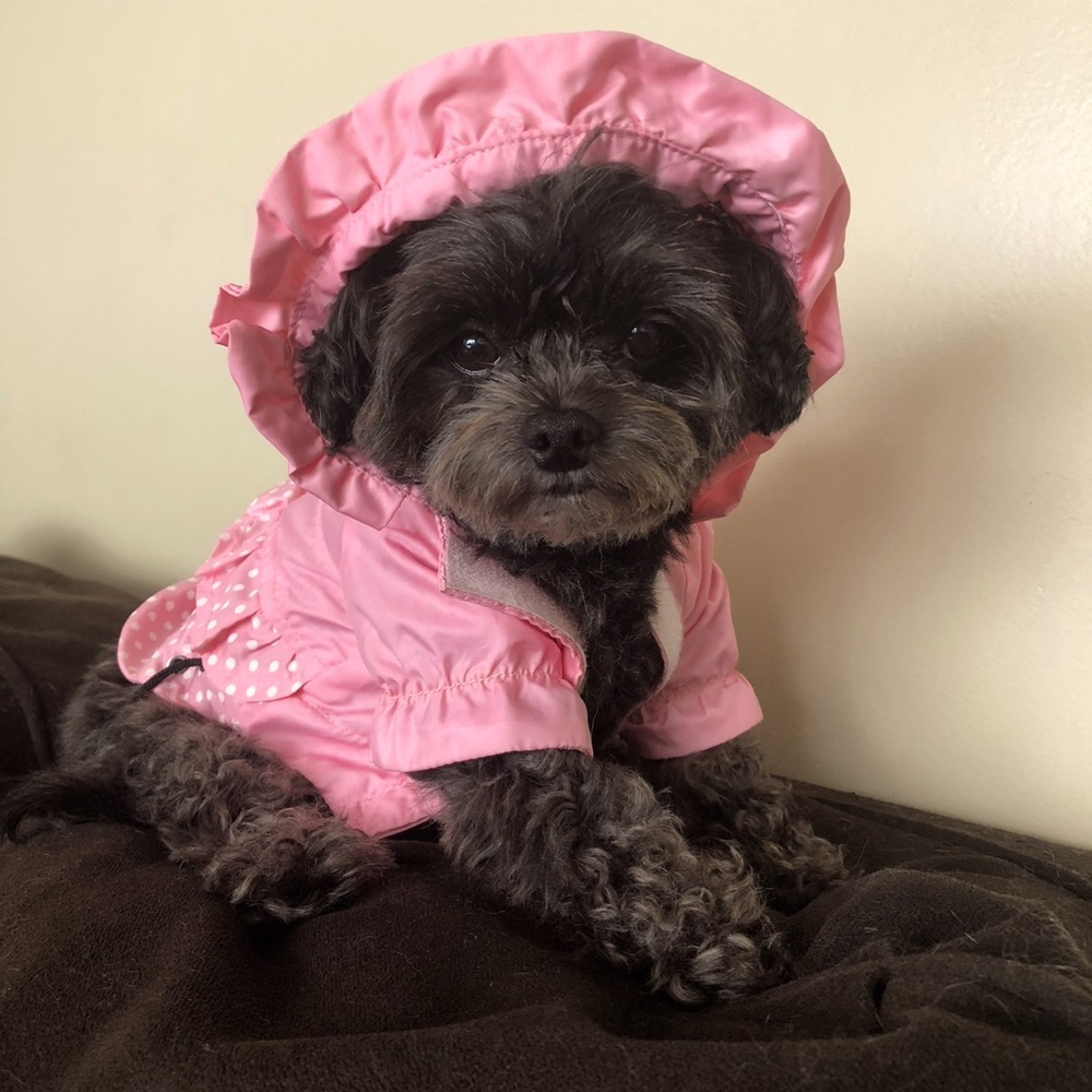 East Side Collection pink rain coat with white polka dots  in size XS